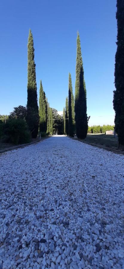 B&B Agriturismo Regno Di Toscana Collesalvetti Exteriér fotografie