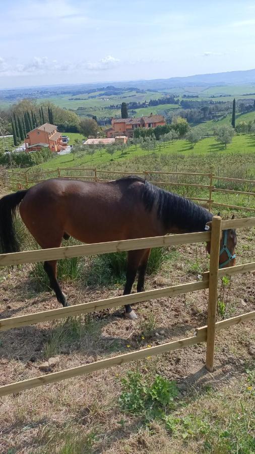 B&B Agriturismo Regno Di Toscana Collesalvetti Exteriér fotografie
